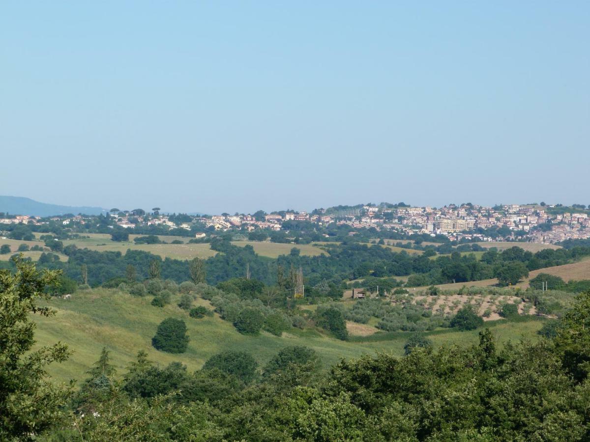 B&B Villa Selva Grande Capena エクステリア 写真